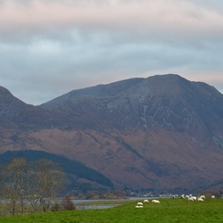 2018-11 Scotland/Pap of Glencoe/DSC_7025.JPG